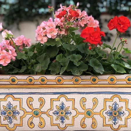 Centro Al Massimo Appartamento *