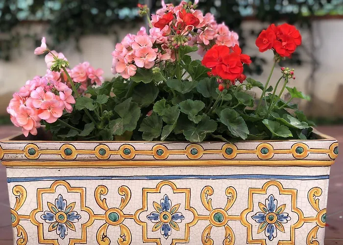 Centro Al Massimo Appartamento *